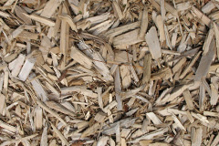 biomass boilers Tadnoll